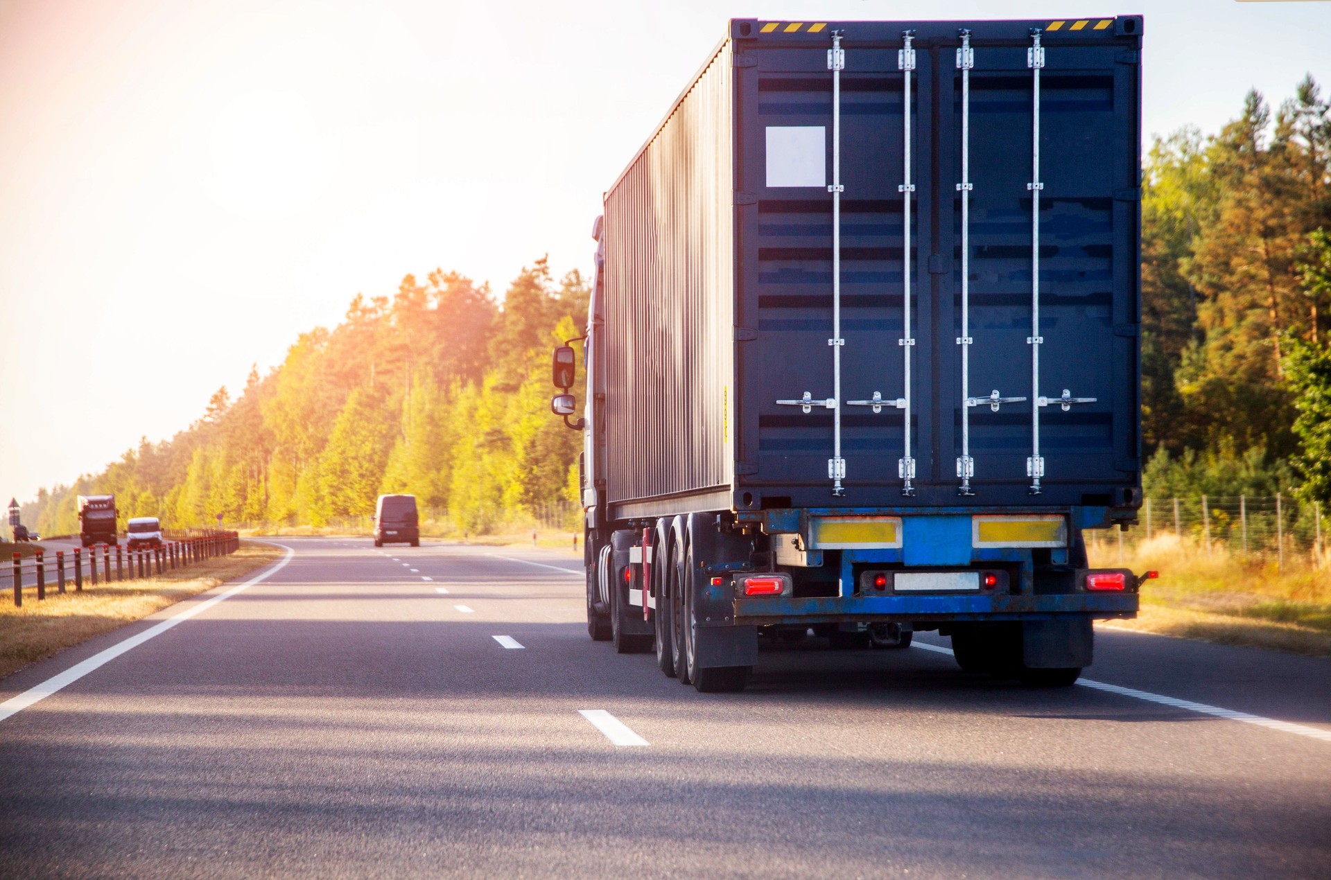 Container truck tractor transports sea container with cargo on asphalt road against forest and nature background. Copy space for text